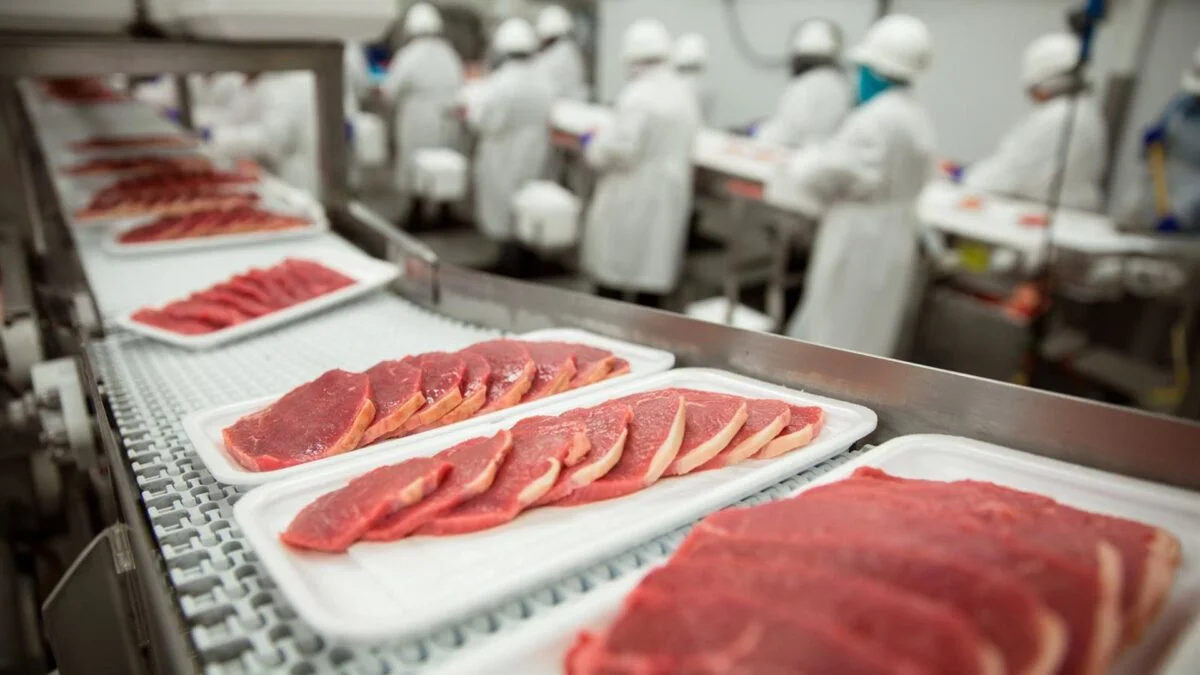 Avance Clave de la UE: La Industria Cárnica Celebra la Protección de Denominaciones