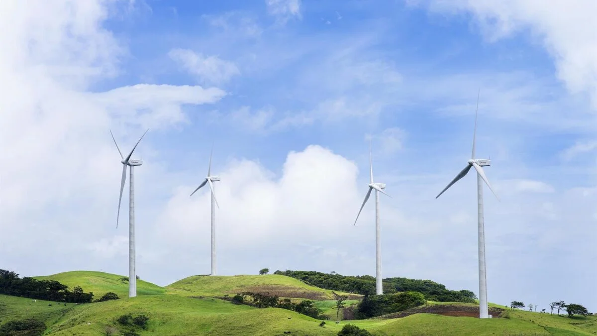 Acciona Energía Busca Cambio de Garante para Bonos: ¿Qué Implicaciones Tiene para los Inversores?