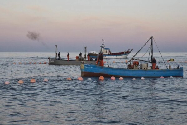 España y Francia Discuten Nuevas Estrategias para el Mediterráneo: Modificaciones a TAC y Cuotas para 2026