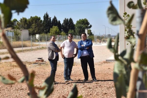 Pistacuenca Eleva Expectativas: Se Espera una Cosecha Récord de 150 Toneladas de Pistacho