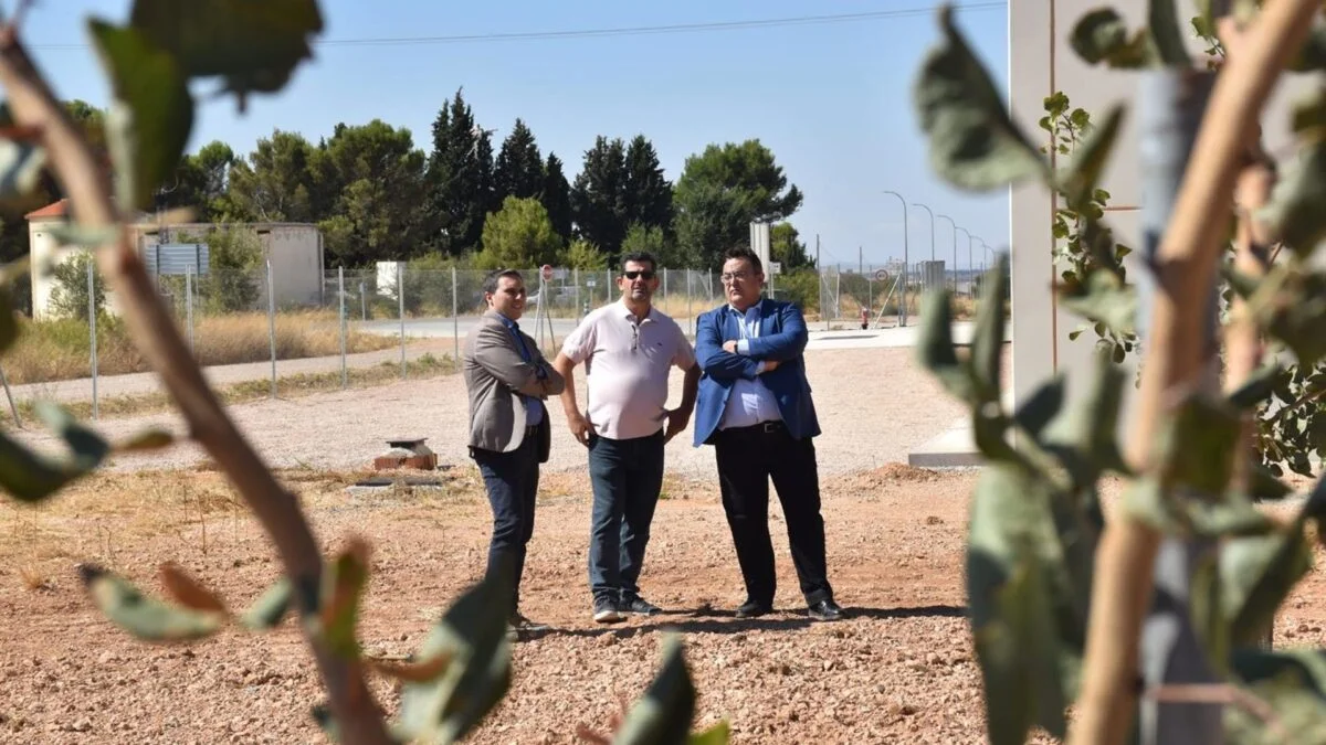 Pistacuenca Eleva Expectativas: Se Espera una Cosecha Récord de 150 Toneladas de Pistacho