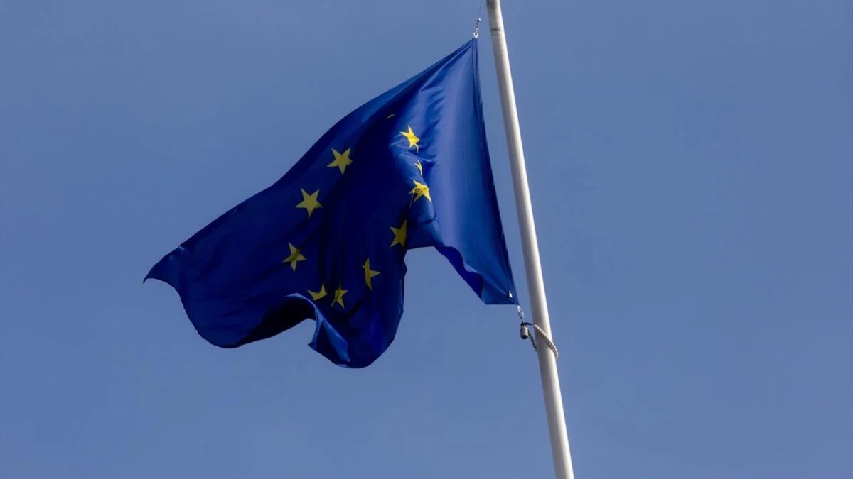 Auditores de la UE Advienten sobre Fallos Recurrentes en el Control del Fondo Anticrisis en España