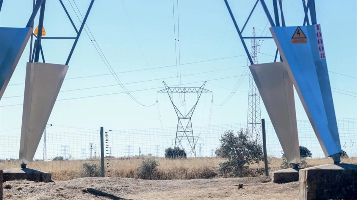 El sector eléctrico en alerta: inquietudes por fallos en el informe de ENTSO-E