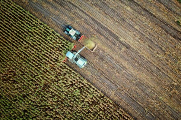 El Gobierno aumenta en 15 millones de euros el apoyo financiero a Agroinnpulso
