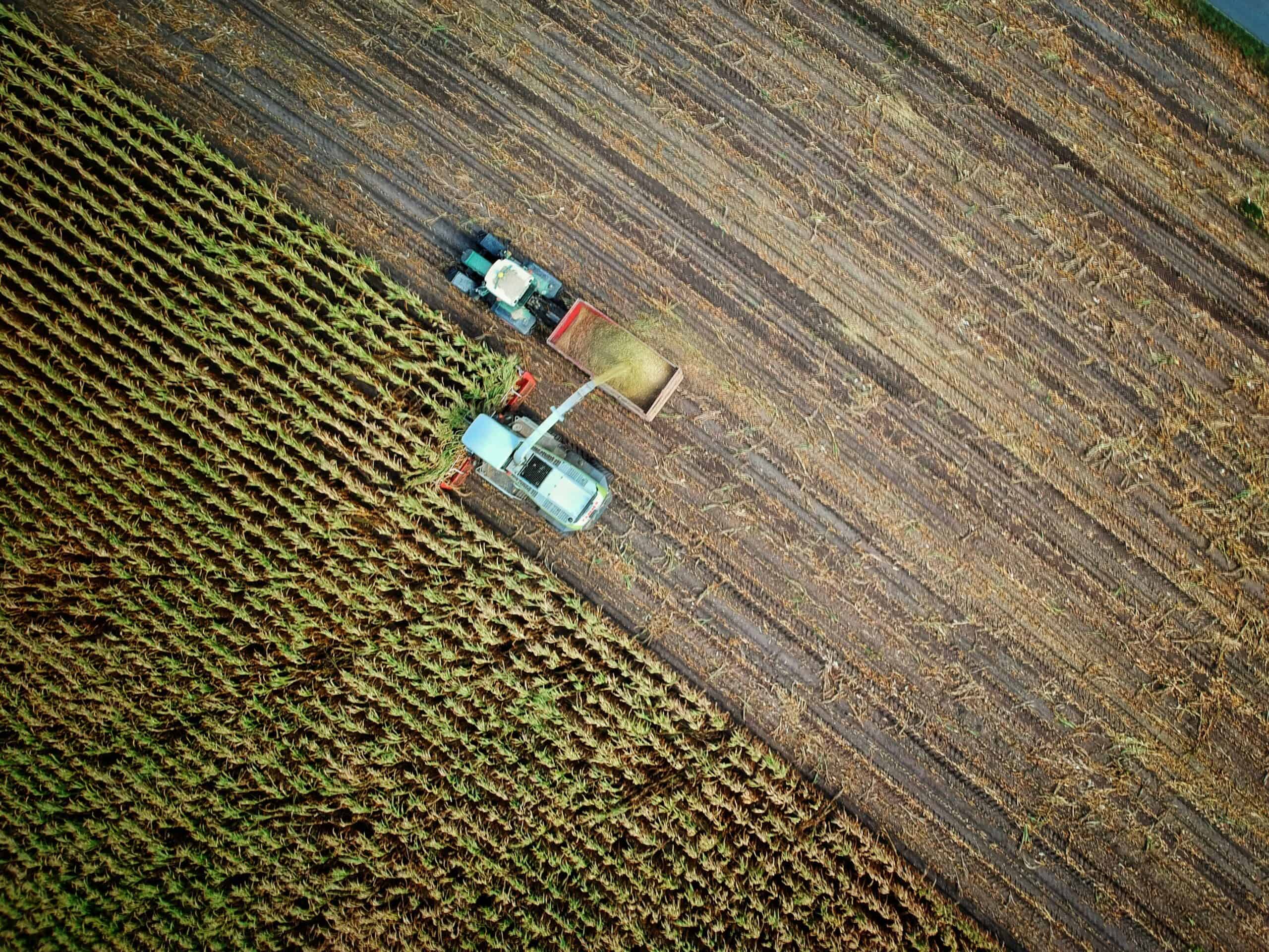 El Gobierno aumenta en 15 millones de euros el apoyo financiero a Agroinnpulso