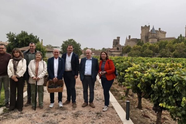 Navarra: Vendimia 2023 con Récord de Calidad, a Pesar de la Notable Caída en la Producción de Uva