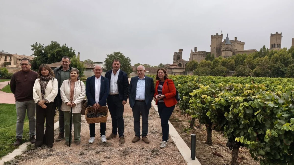 Navarra: Vendimia 2023 con Récord de Calidad, a Pesar de la Notable Caída en la Producción de Uva