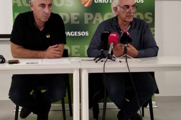 "UP Anticipa Campaña de Fruta Dulce Afectada por Variedades de Enfermedades y Climas Adversos"