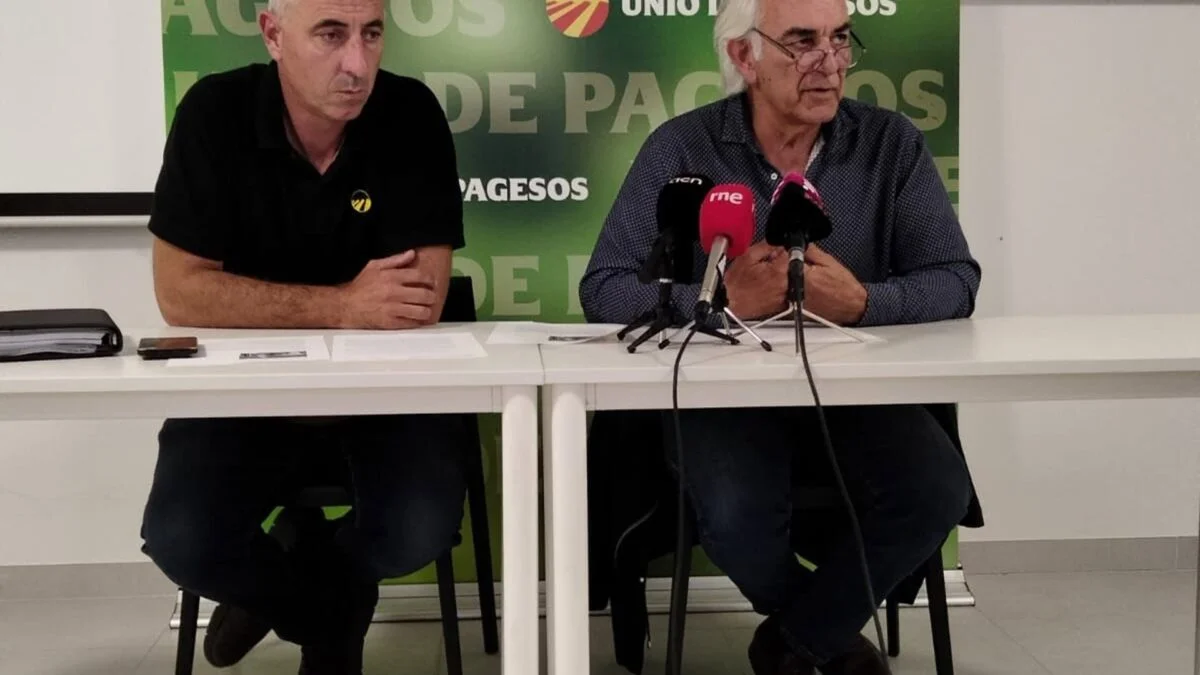 "UP Anticipa Campaña de Fruta Dulce Afectada por Variedades de Enfermedades y Climas Adversos"