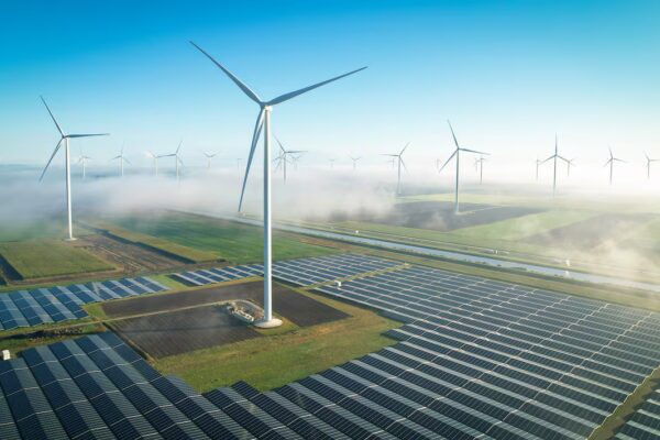 Impulsando la Rentabilidad: La Energía Verde como Oportunidad en el Foro Step Up Now