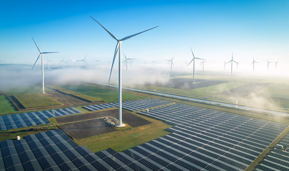 Impulsando la Rentabilidad: La Energía Verde como Oportunidad en el Foro Step Up Now