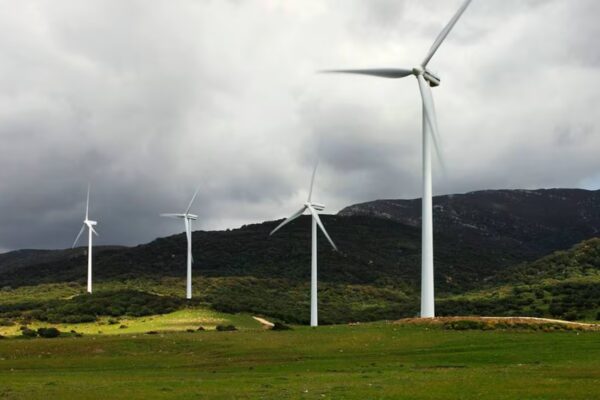 Audax disminuye su beneficio un 52% hasta septiembre, alcanzando los 22,9 millones, debido al impacto del apagón