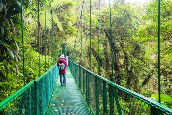 Priorizar el Estudio de la Naturaleza sobre el Extractivismo para Impulsar el Desarrollo en América Latina