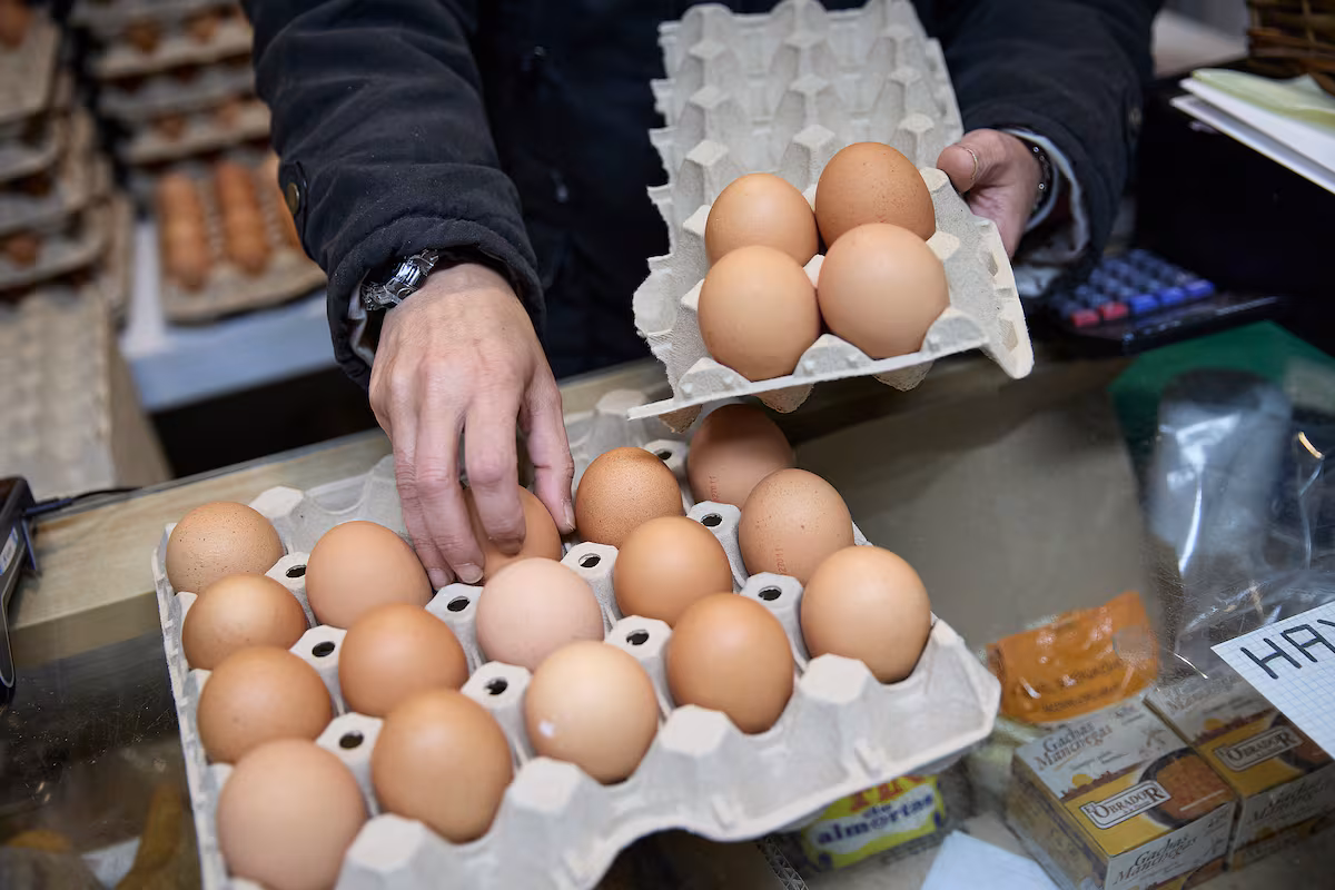 Escasez de Huevos en Supermercados Españoles Debido a la Gripe Aviar