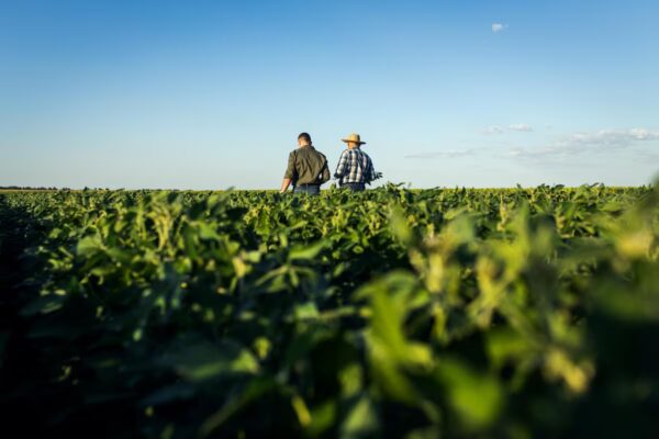 Lanzamiento de Asesoría ESG: Impulso Sostenible para Empresas Españolas