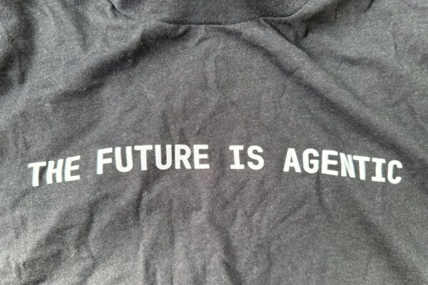 Explorando la Web Agéntica: ¿Cómo Delegar Decisiones a Redes de Máquinas Inteligentes?