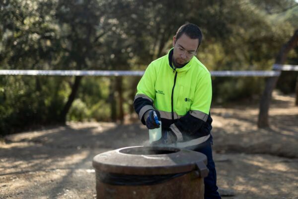 Cataluña investiga un bocadillo con embutido contaminado como posible fuente de peste porcina