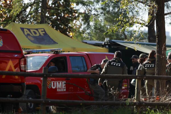 China Mantiene Importaciones de Porcino Español a Pese a Brote Sanitario