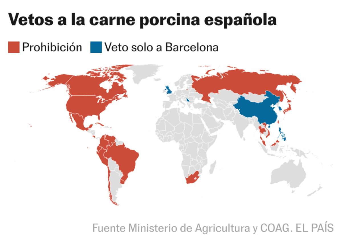 Peste porcina: restricciones y prohibiciones a la importación de carne de cerdo española en el mundo