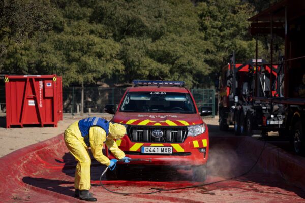 Trabajo permitirá ERTE de fuerza mayor para empresas afectadas por la peste porcina
