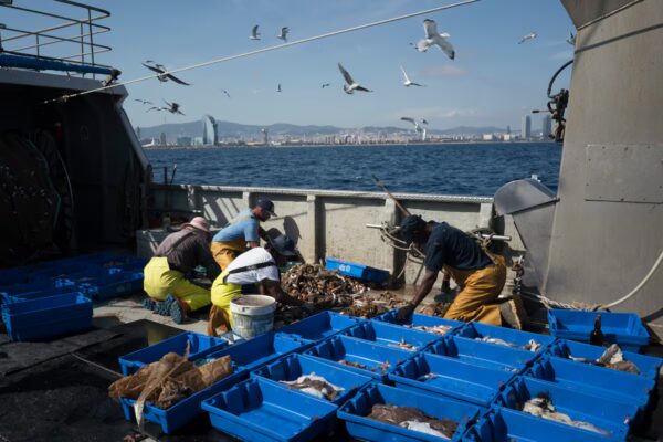 El Consejo de la UE acelera las negociaciones sobre las cuotas de pesca para 2026