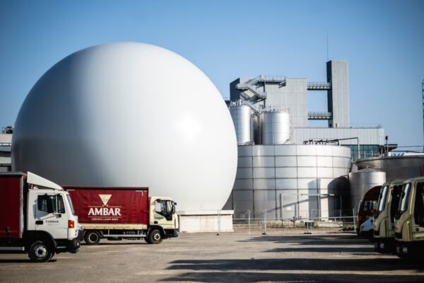 Ambar: La Cerveza del Cierzo Navega Hacia Nuevas Oportunidades