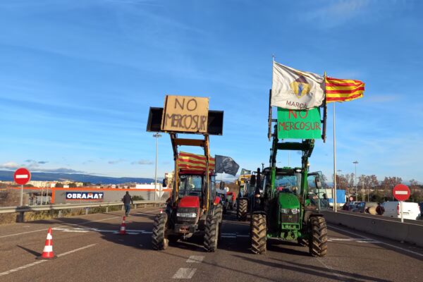 Impacto del Acuerdo de Libre Comercio UE-Mercosur: Análisis de Beneficios y Desventajas