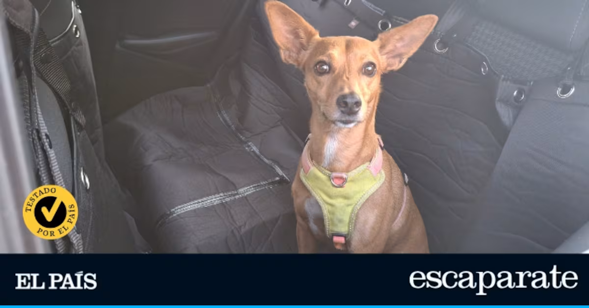 Los mejores protectores de asiento para perros: Comparativa y análisis detallado