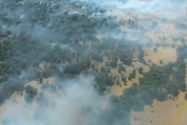 Un incendio forestal activa la alerta máxima en Lozoyuela, Comunidad de Madrid