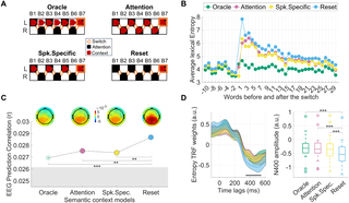 El cerebro humano procesa múltiples flujos de speech al cambiar la atención, revela estudio neurocientífico