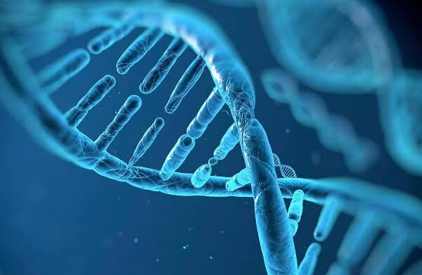90 startups biotecnológicas en Europa que están transformando el sector de la salud