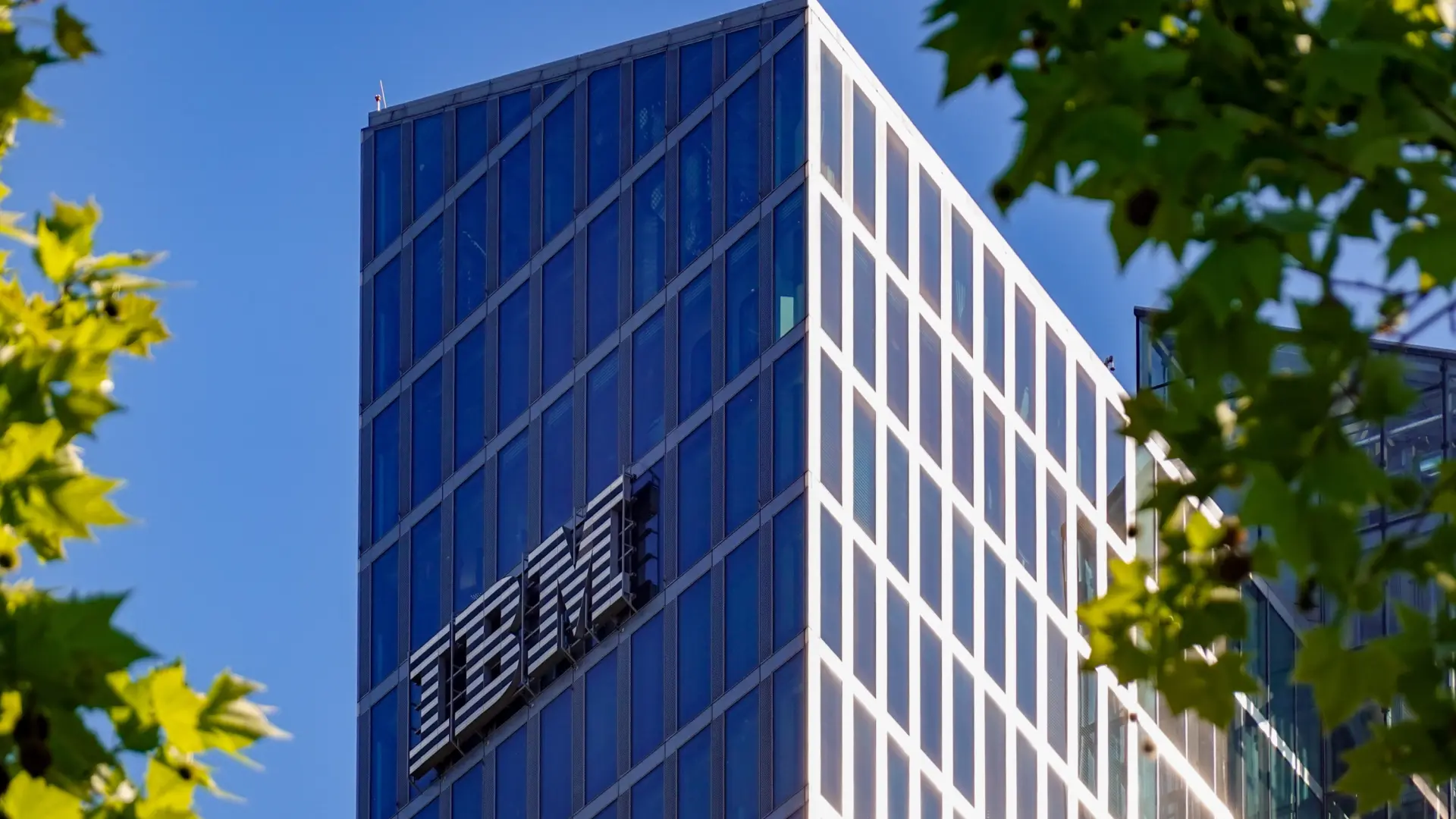 IBM se recupera tras una semana desafiante: especialistas analizan su futuro en inteligencia artificial y su relevancia en el mercado global