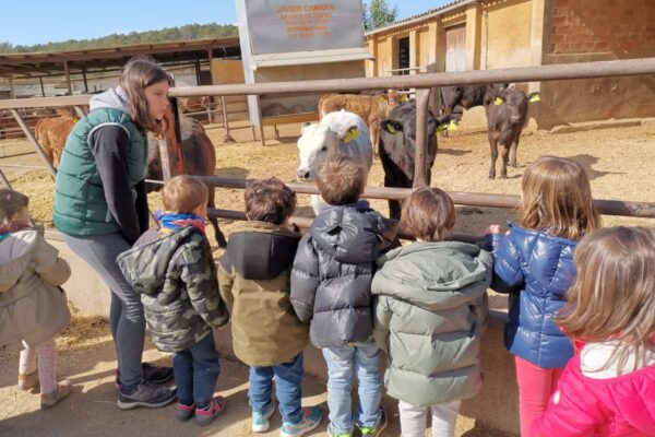El ámbito cultural expresa su inquietud ante la suspensión de salidas escolares: “Nos afecta profundamente”