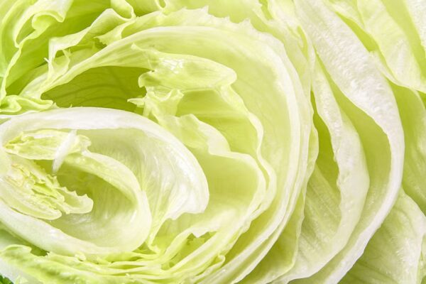 Brotes de Cyclospora: La FDA reconoce un 'falso positivo' y se mantienen los retiros de lechugas de Taylor Farms.