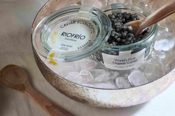 Día Mundial del Caviar: Impulso a la Producción Sostenible de esta Delicia Gastronómica