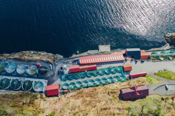 Nernst Electric obtiene 1,7 millones de euros para expandir su tecnología de generación de oxígeno in situ en acuicultura e industrias pesadas