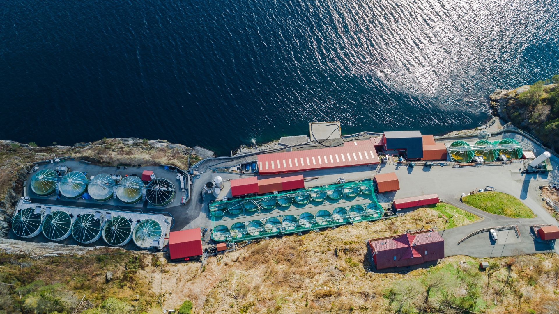 Nernst Electric obtiene 1,7 millones de euros para expandir su tecnología de generación de oxígeno in situ en acuicultura e industrias pesadas