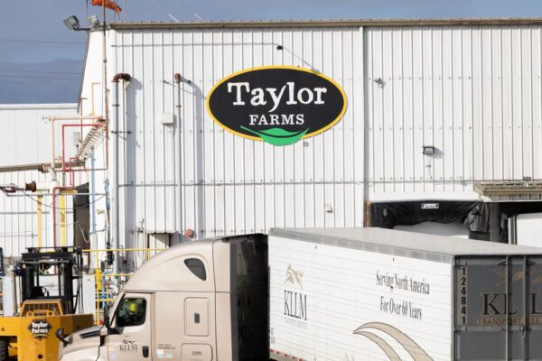 Taylor Farms Contactó a la Casa Blanca de Trump para Postergar el Anuncio del Retiro por Cyclospora