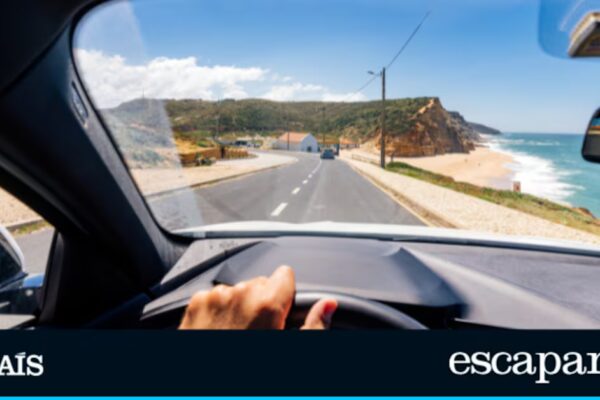 10 elementos esenciales que debes tener en tu coche, incluida la luz V-16