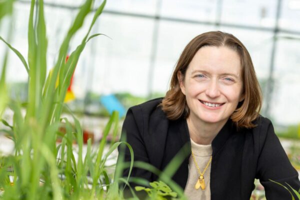Moa Technology, de Oxford, obtiene 25.9 millones de euros para combatir malezas resistentes a herbicidas.