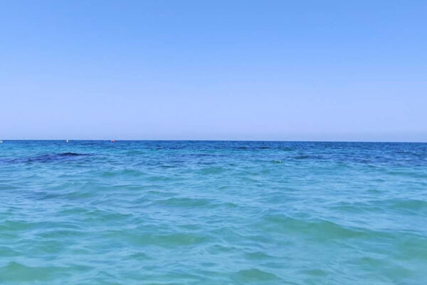 La NOAA advierte sobre los impactos de la inusual "ola de calor marina" en el Mediterráneo.