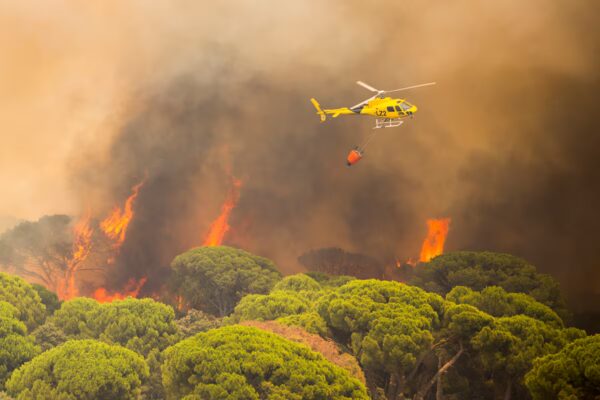Incendios forestales en Madrid: Actualización sobre la situación y esfuerzos de extinción en el embalse de San Juan