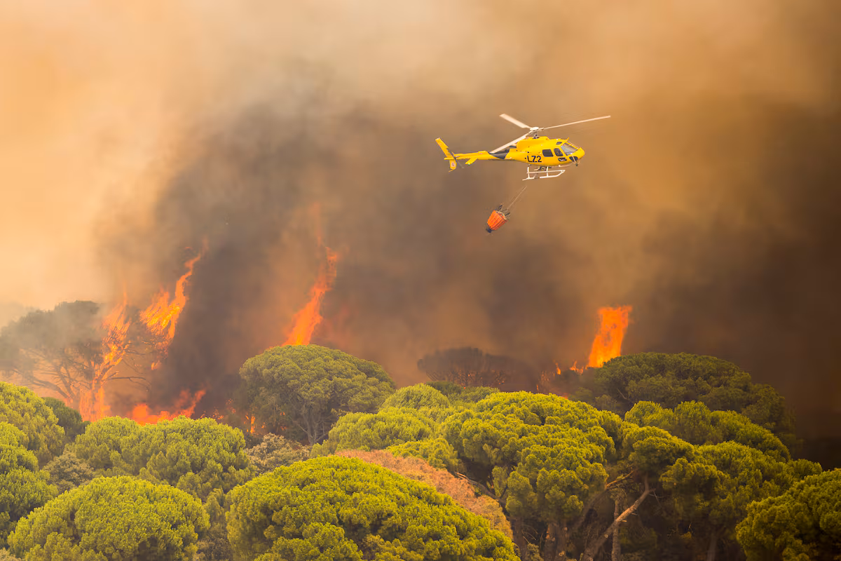 Incendios forestales en Madrid: Actualización sobre la situación y esfuerzos de extinción en el embalse de San Juan