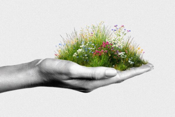 El impacto del 'wildflowering' en el entorno laboral: ¿puede impulsar tu carrera?