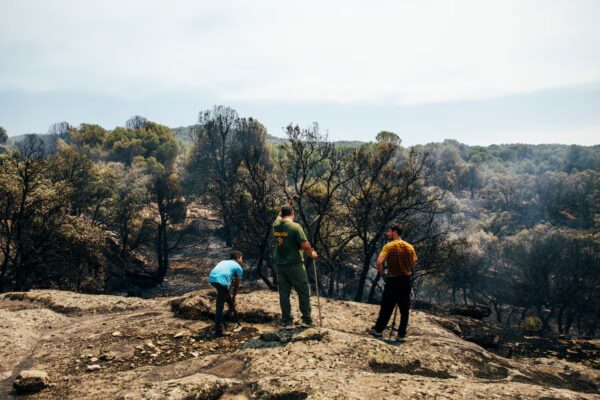Urgente: 24 horas clave en Ávila y Madrid ante la inminente ola de calor y el riesgo de incendios