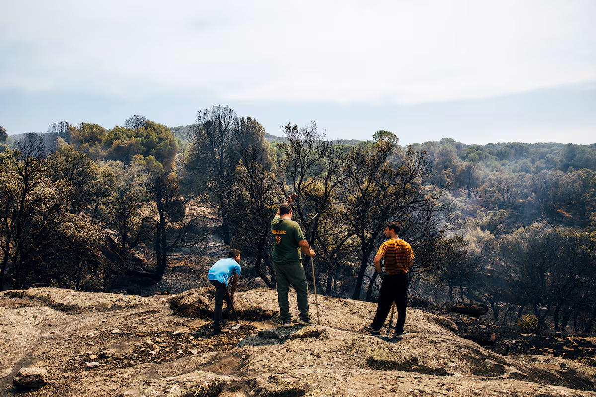 Urgente: 24 horas clave en Ávila y Madrid ante la inminente ola de calor y el riesgo de incendios