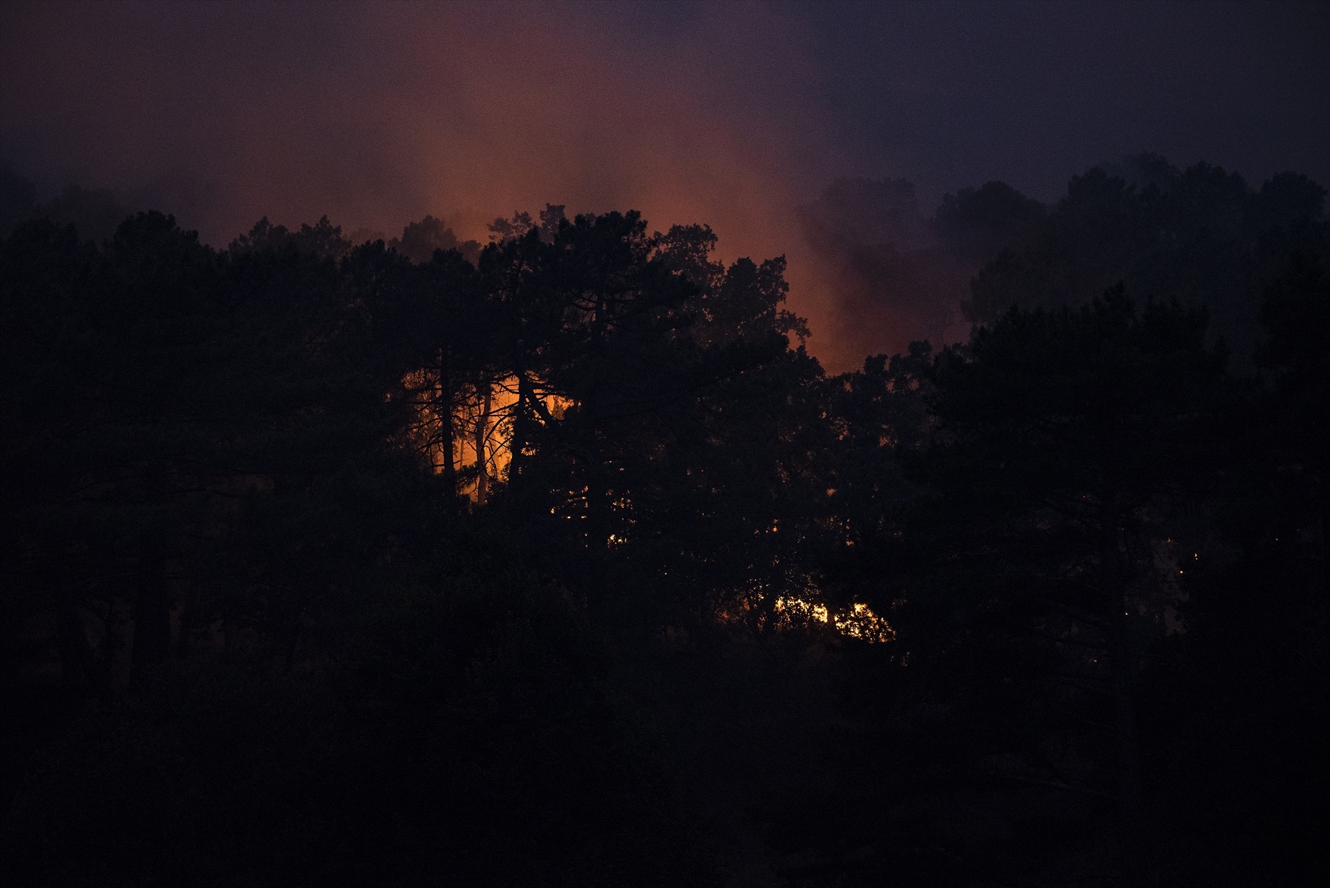 España se prepara ante la amenaza de incendios forestales por una nueva ola de calor.