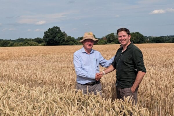 Wild Bio ficha a F1 Seed para establecer la primera empresa británica de cultivo de trigo de precisión independiente.