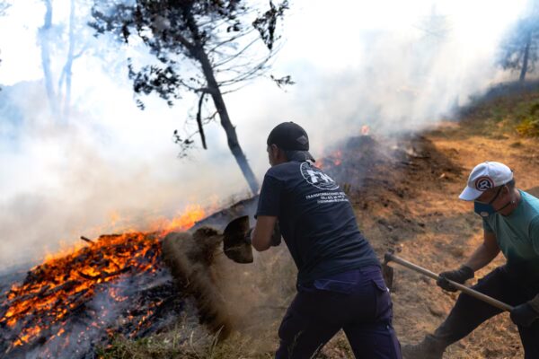 Incendio en Madrid: Situación estable durante la noche tras la contención de llamas