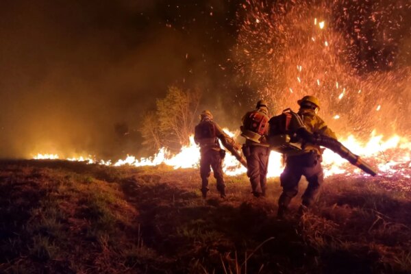 Transformación en la lucha contra incendios forestales: Innovaciones y estrategias efectivas